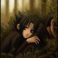 Lost in the Konoha Woods, Sasuke and Itachi